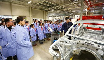 義烏泓寶行 技術開發(fā)的創(chuàng)新驅動與行業(yè)貢獻